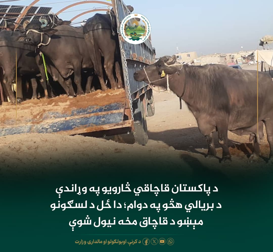د ورځ مهمی خبری