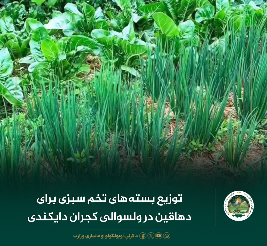 خبرهای مهم روز