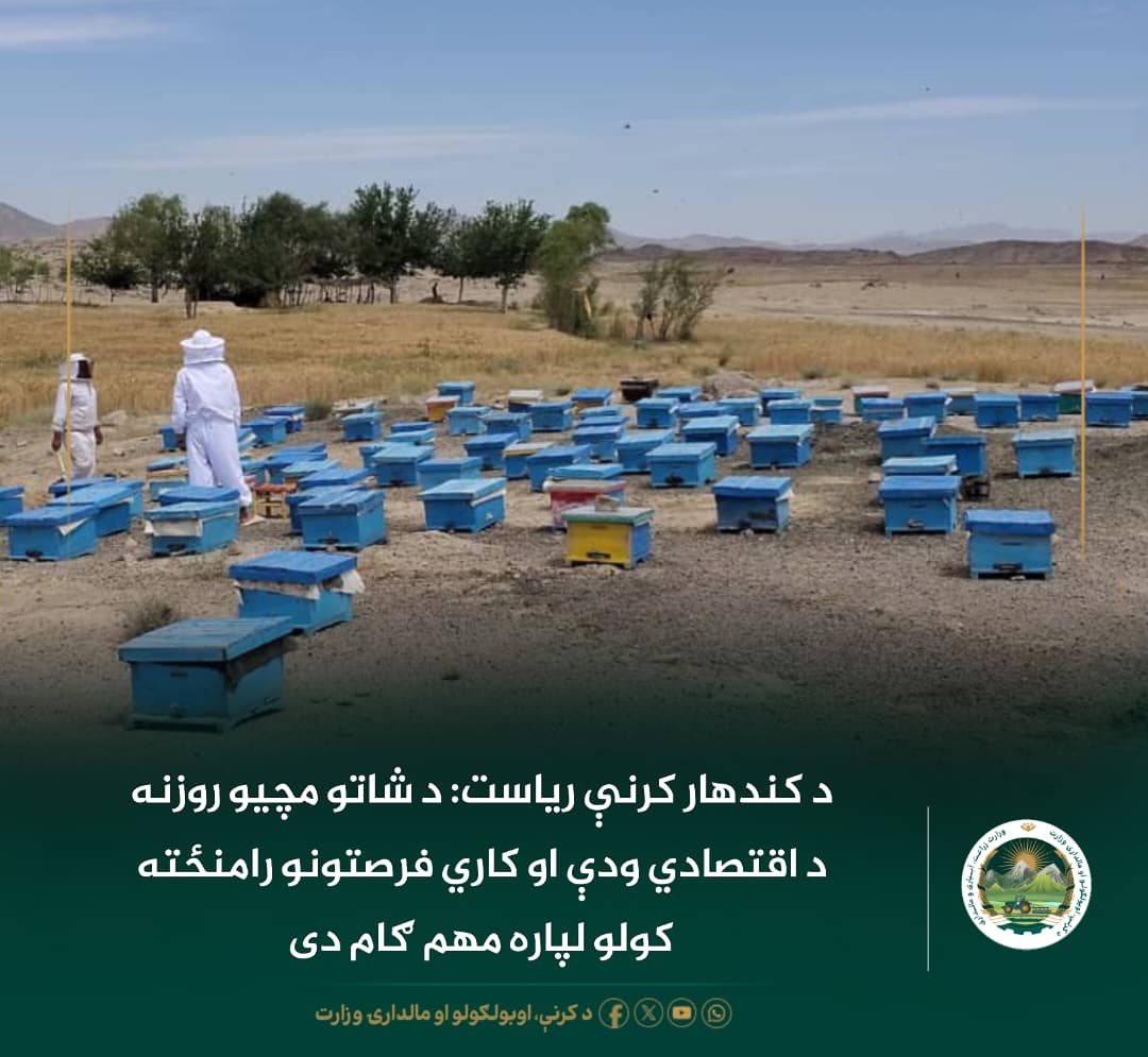 د ورځ مهمی خبری