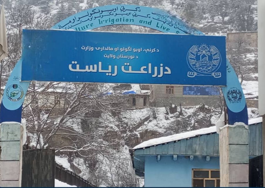 نورستان کې پراخ کرنیز پرمختیایي فعالیتونه؛ لسګونه پروژې پلې او میلیونونه افغانۍ عواید راټول شوي