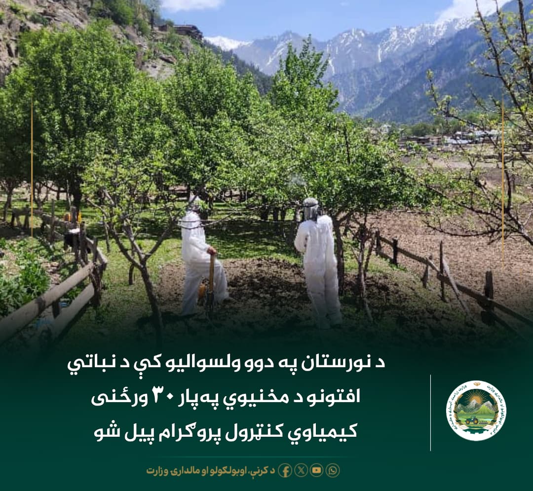 د ورځ مهمی خبری