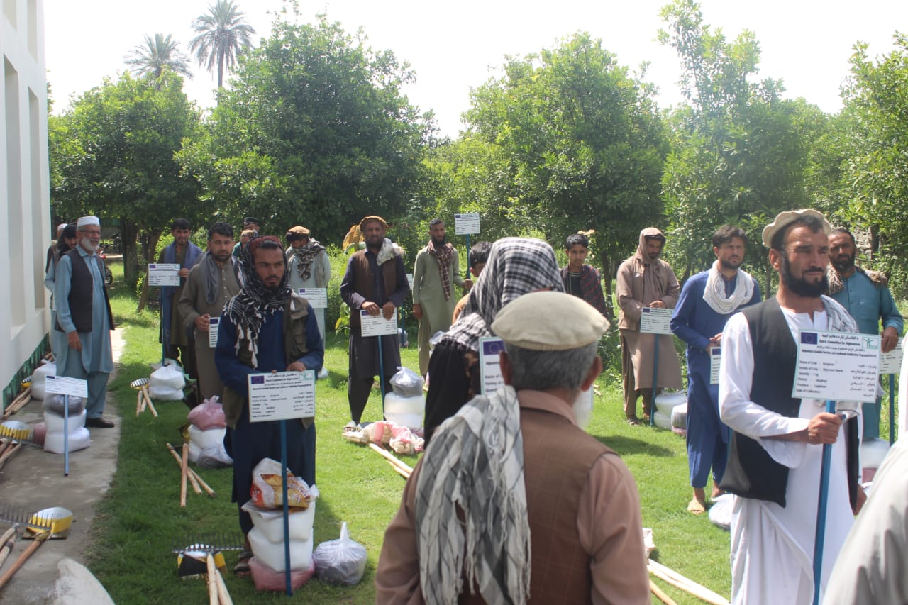 لغمان کې مالدارانو ته د څارویو د خوراکي برابرولو په موخه د علفي تخم او د ځمکې هوارولو وسایلو مرسته وشوه