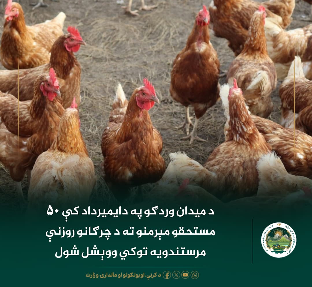 د ورځ مهمی خبری