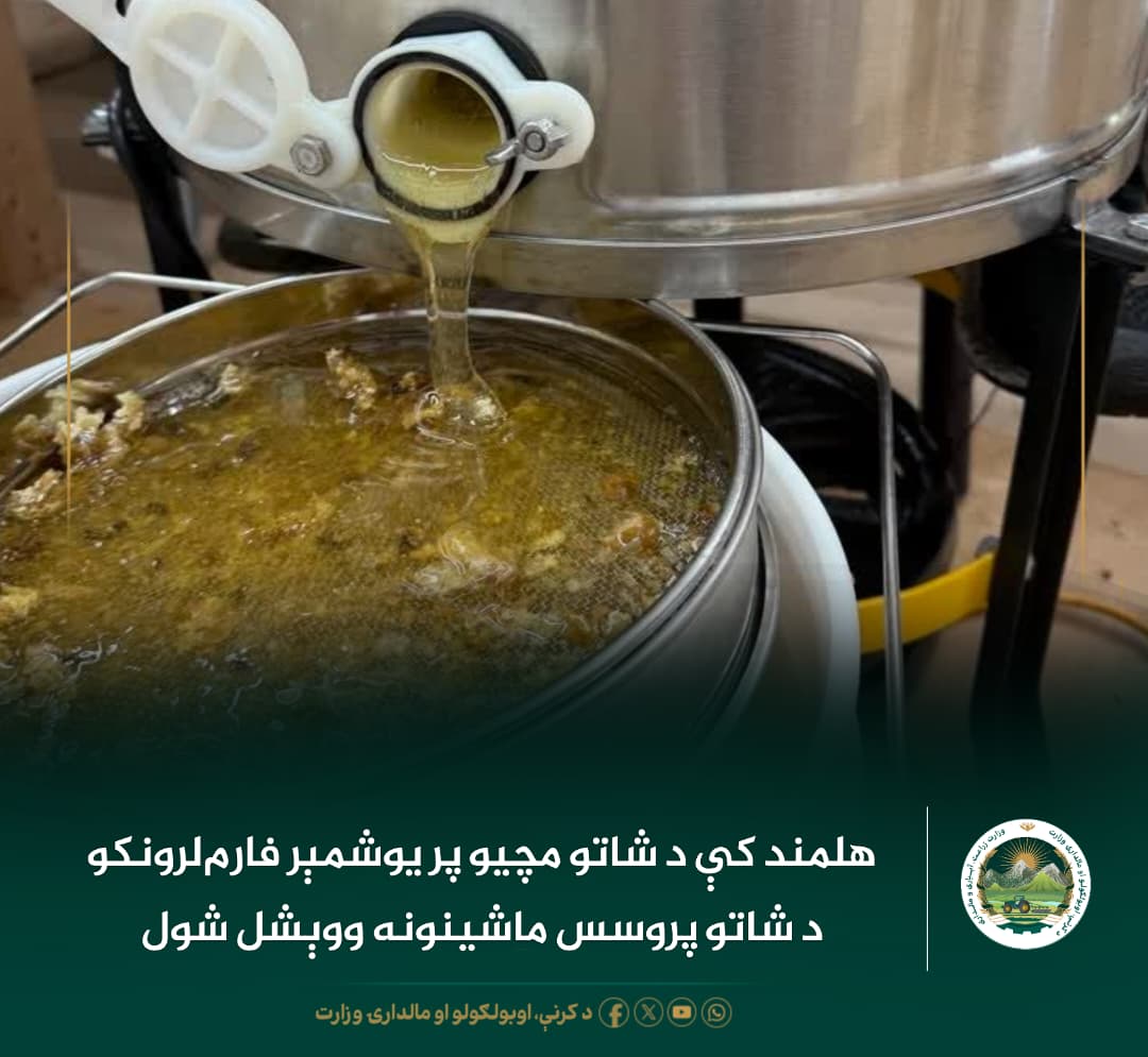 د ورځ مهمی خبری