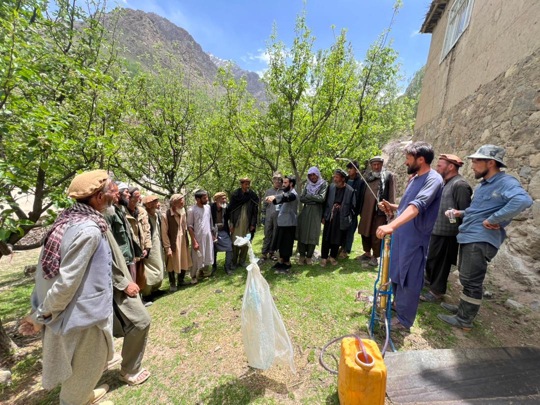 آغاز کمپاین مبارزه کیمیاوی علیه مورهای پتدار و خیمه‌ساز در ولسوالی آبشار