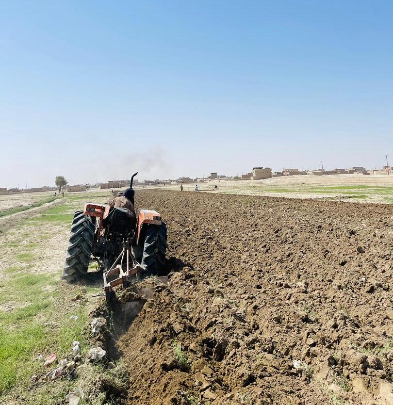 رهنمایی دهقانان در بخش آماده‌سازی زمین برای کشت ماش در ولایت نیمروز