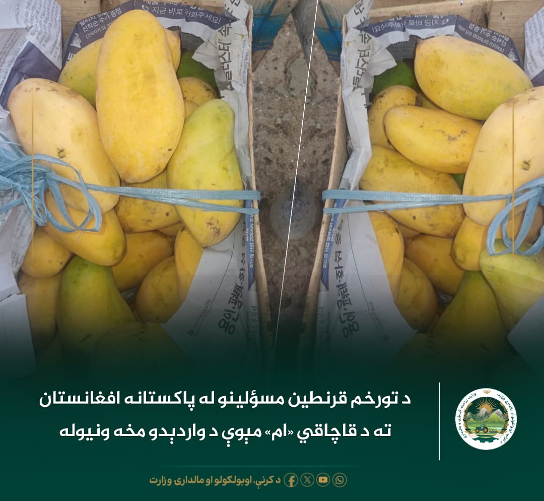 د ورځ مهمی خبری