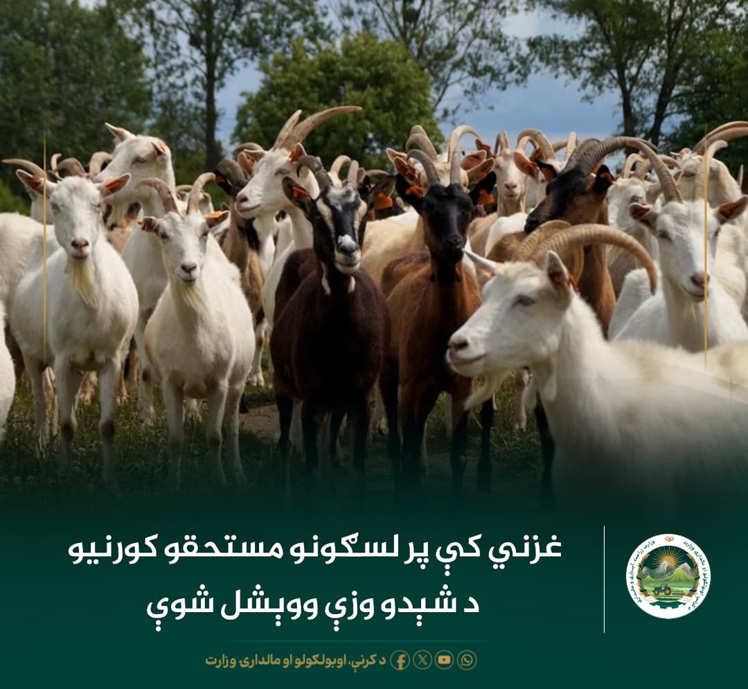 د ورځ مهمی خبری