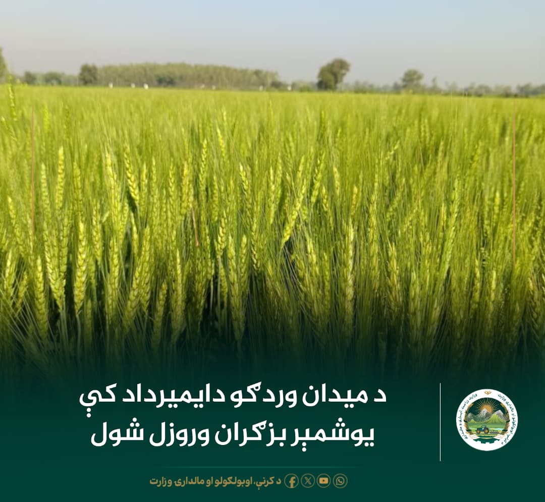 د ورځ مهمی خبری