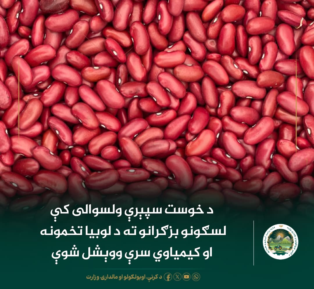 د ورځ مهمی خبری