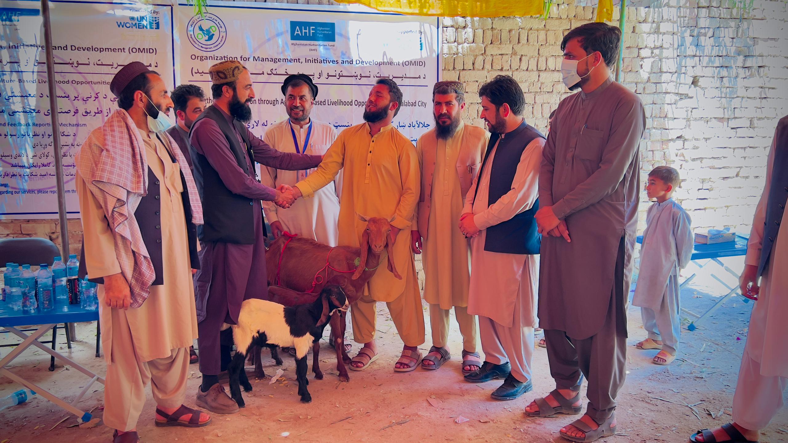 ننګرهار کې د کډوالو او بېوزلو کورنیو د ملاتړ پروګرام؛ ۲۸ کورنیو ته نسلي وزې ووېشل شوې