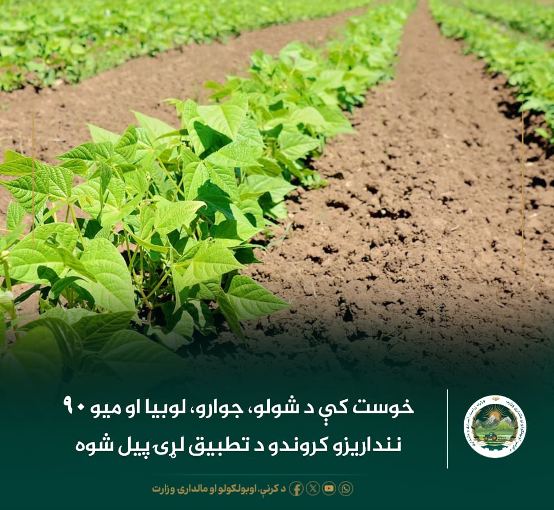 د ورځ مهمی خبری