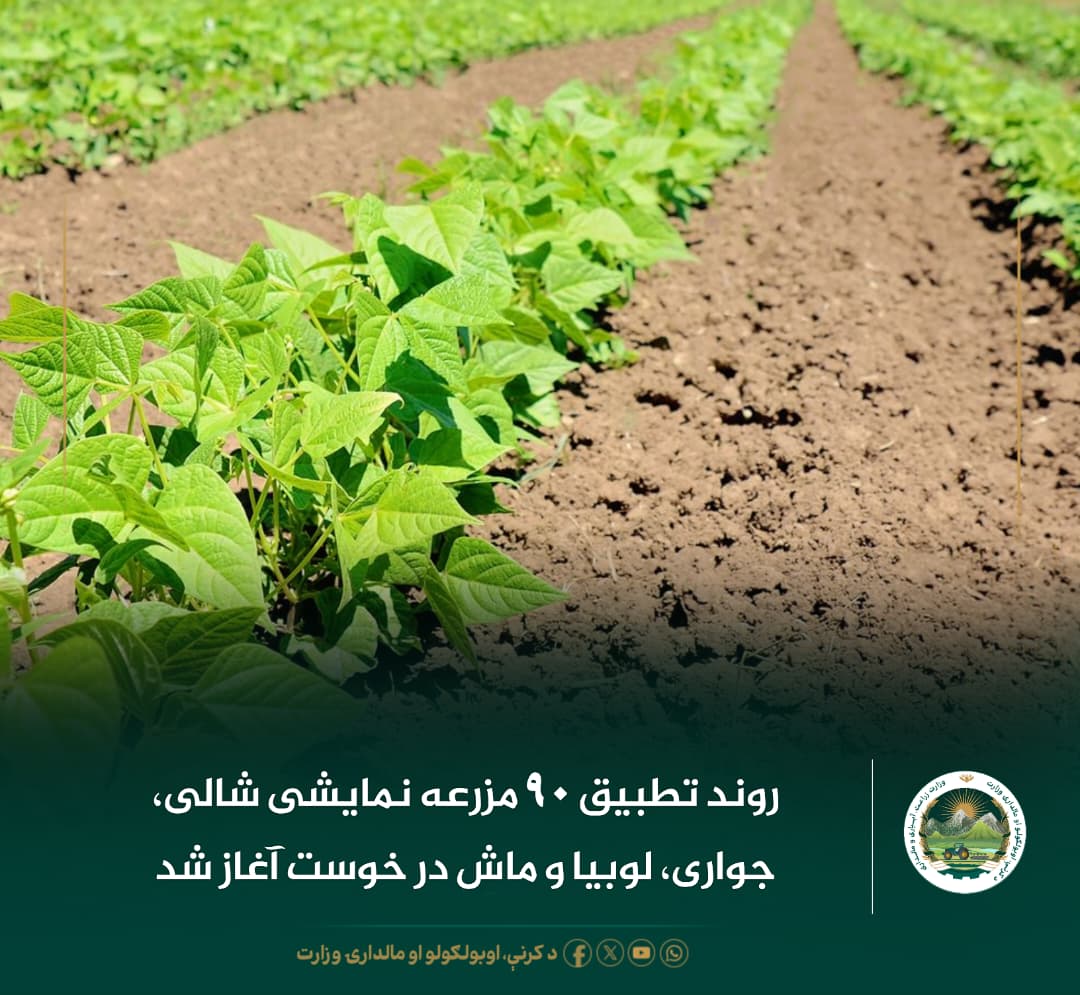 خبرهای مهم روز