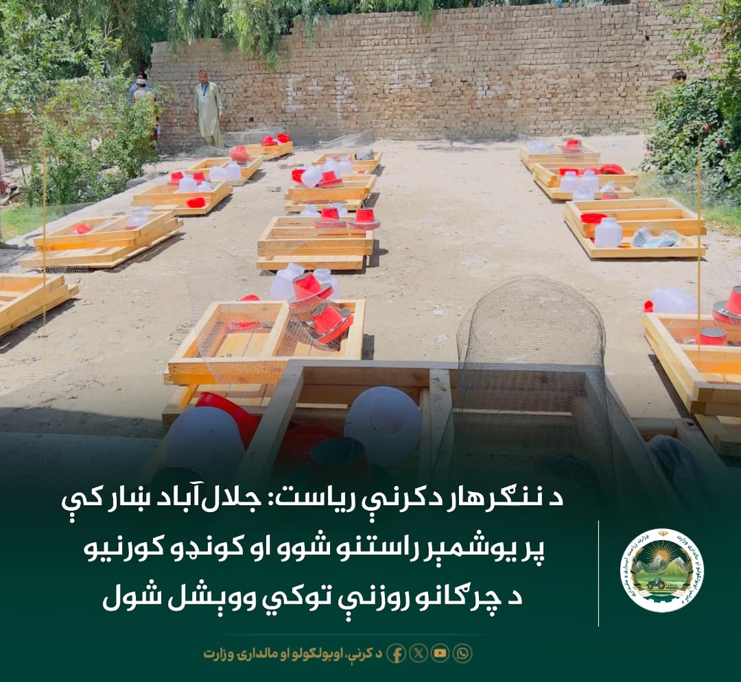 د ورځ مهمی خبری