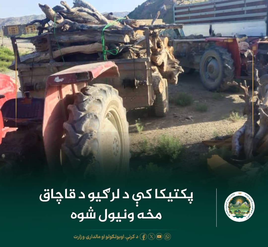 د ورځ مهمی خبری