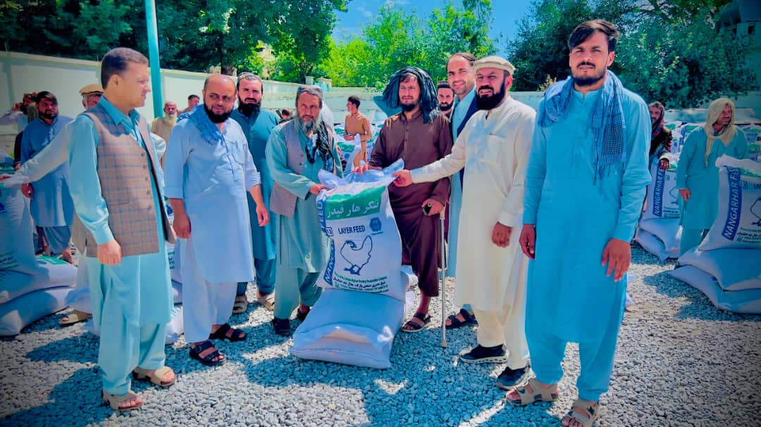 د ننګرهار کوز کنړ کې ۱۲۰ راستنېدونکو او اړمنو کورنیو ته د چرګانو خوراکه ووېشل شوه