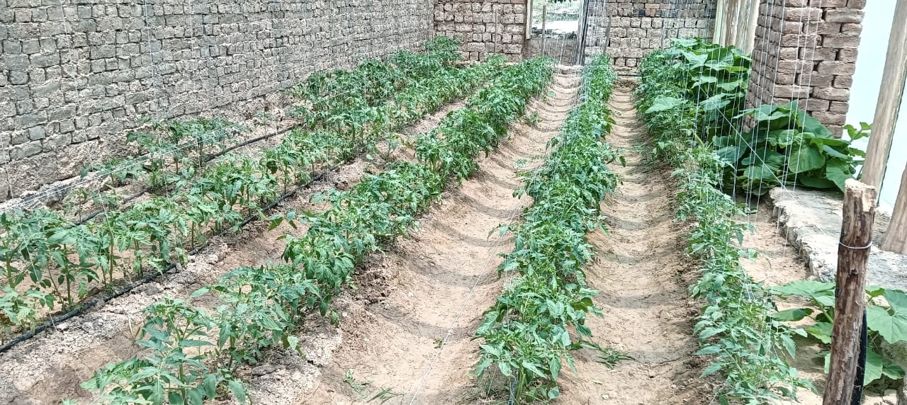 پنج باب سبزخانه در ولسوالی خاکجبار کابل به بهره‌برداری سپرده شد