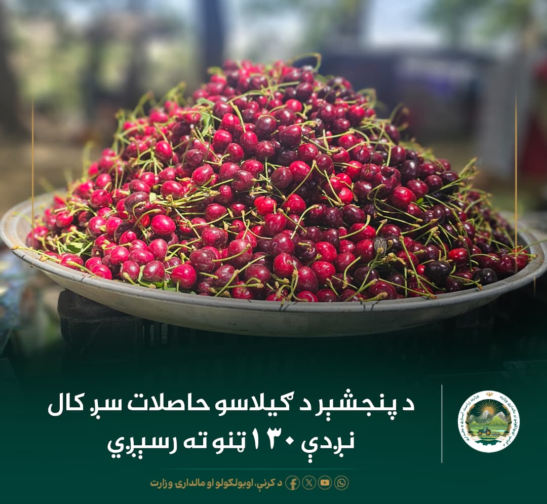 د ورځ مهمی خبری