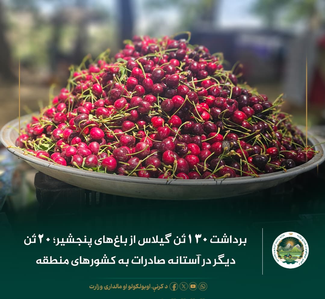 خبرهای مهم روز