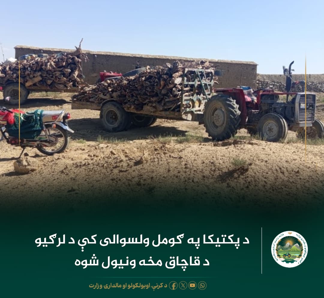 د ورځ مهمی خبری
