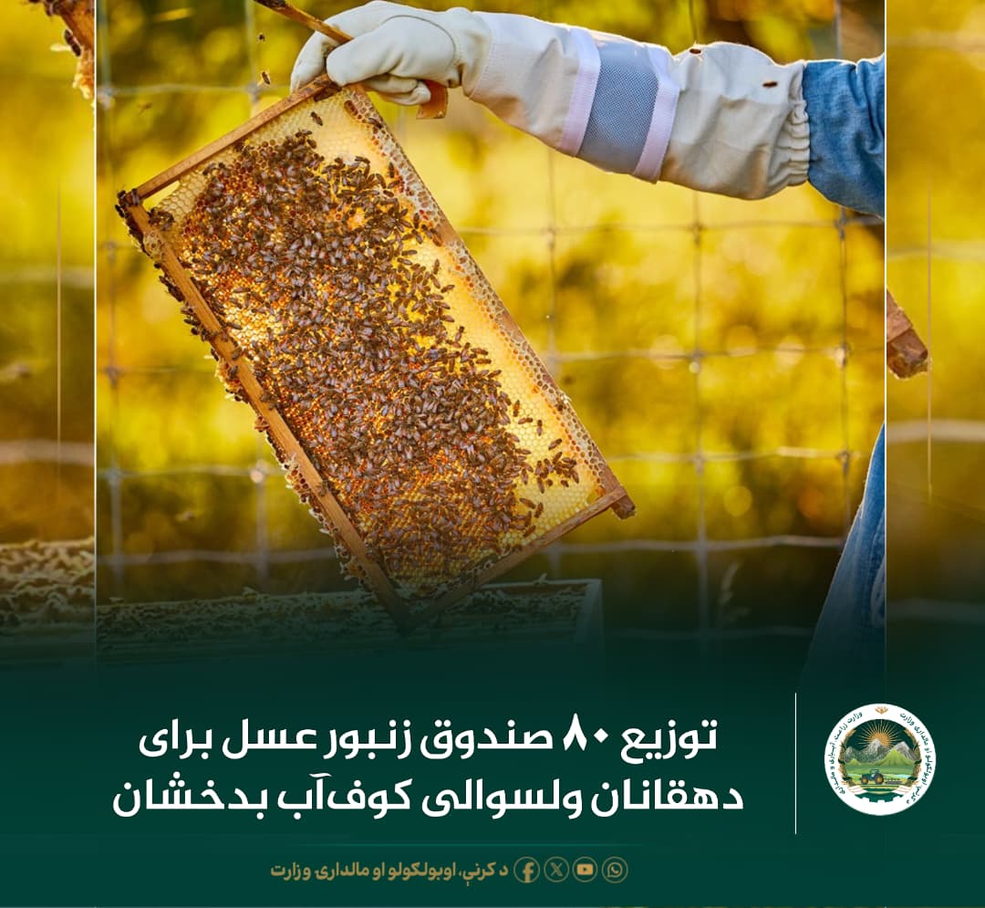 خبرهای مهم روز