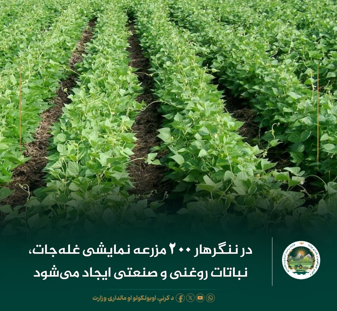 خبرهای مهم روز
