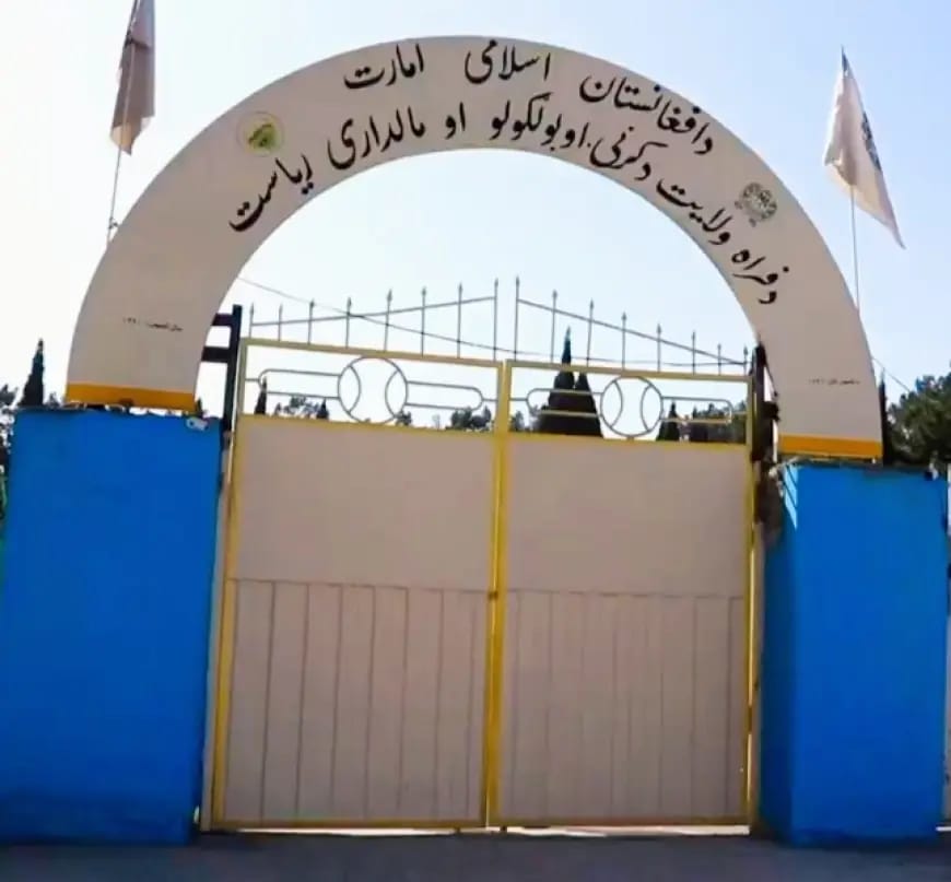جلسه‌ای پیرامون ایجاد اتحادیه فارم‌های گاوداری در ولایت فراه دایر شد