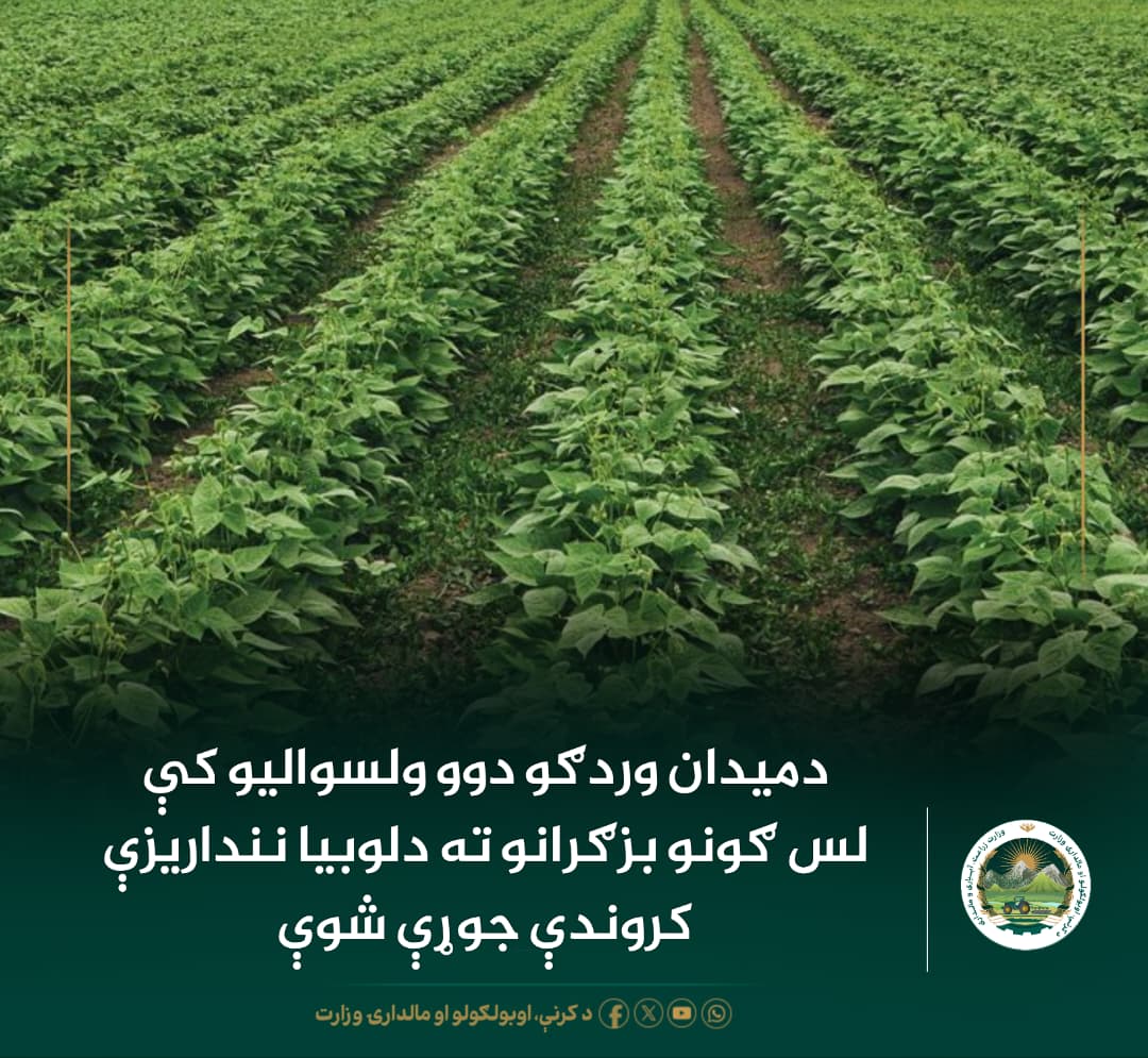 د ورځ مهمی خبری