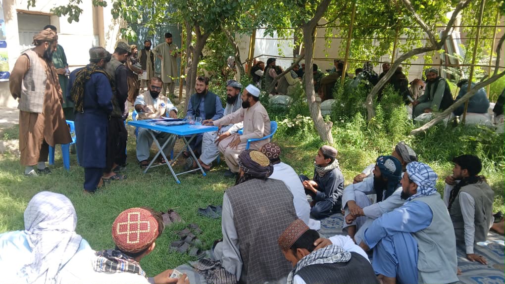 توزیع کنجاله برای مالداران ولسوالی چهاربولک ولایت بلخ