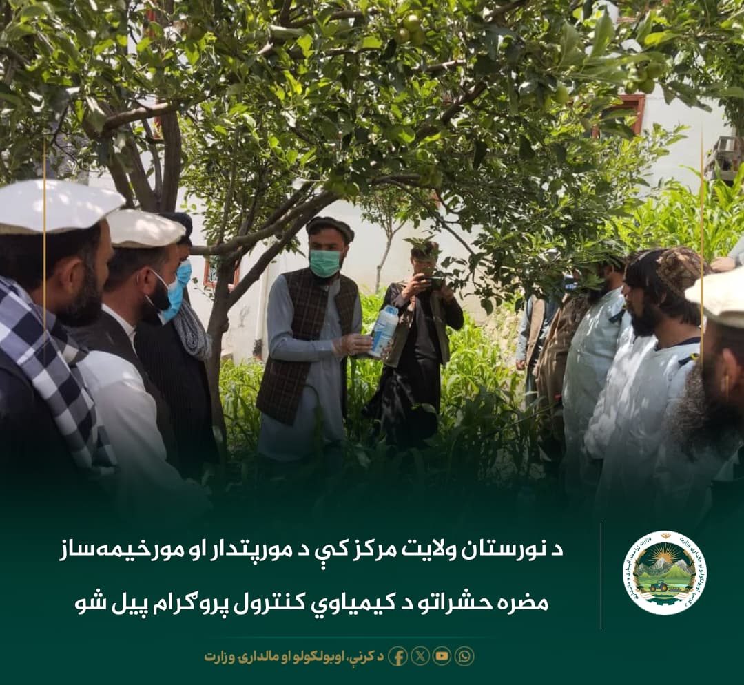 د ورځ مهمی خبری
