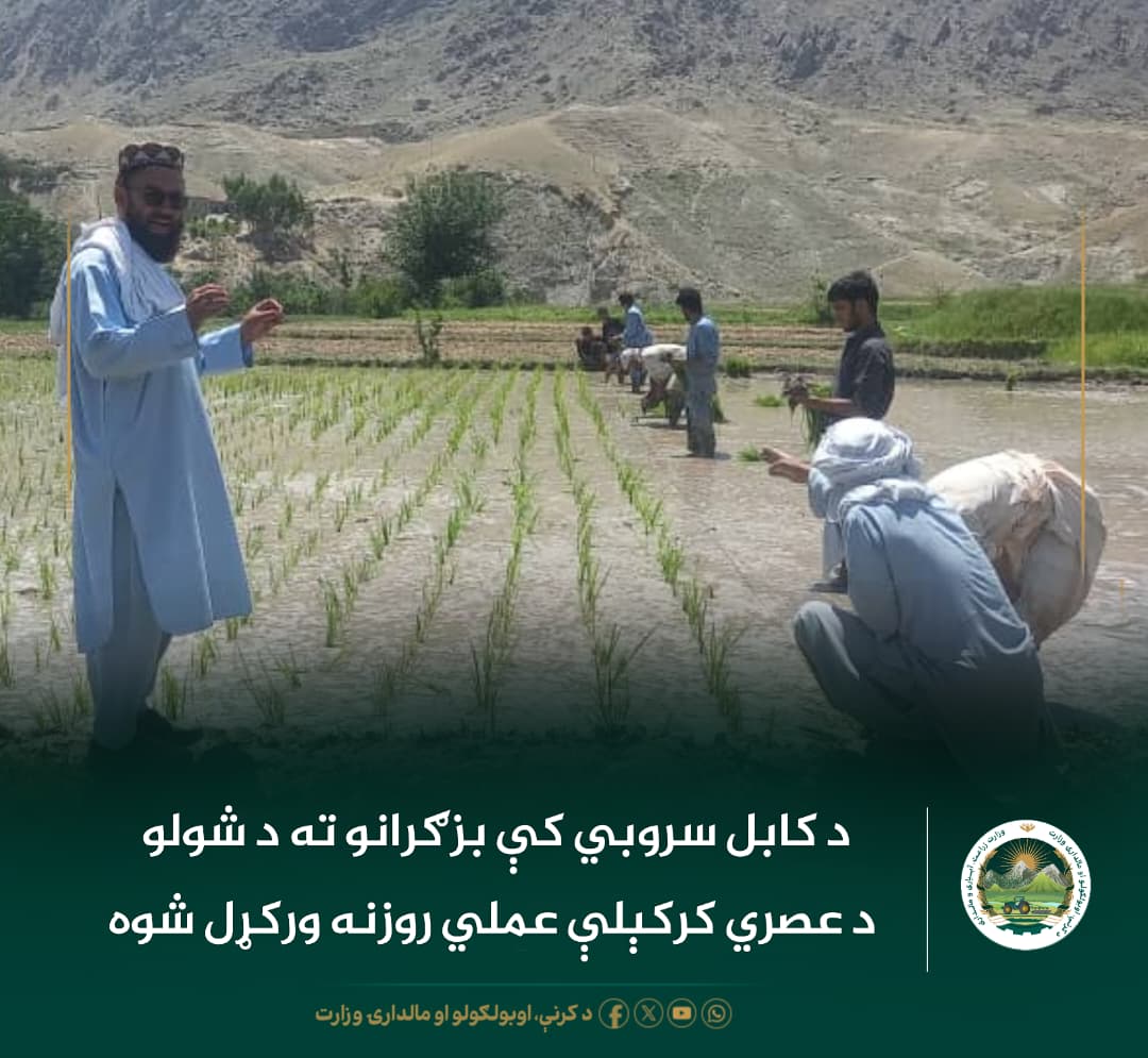 د ورځ مهمی خبری