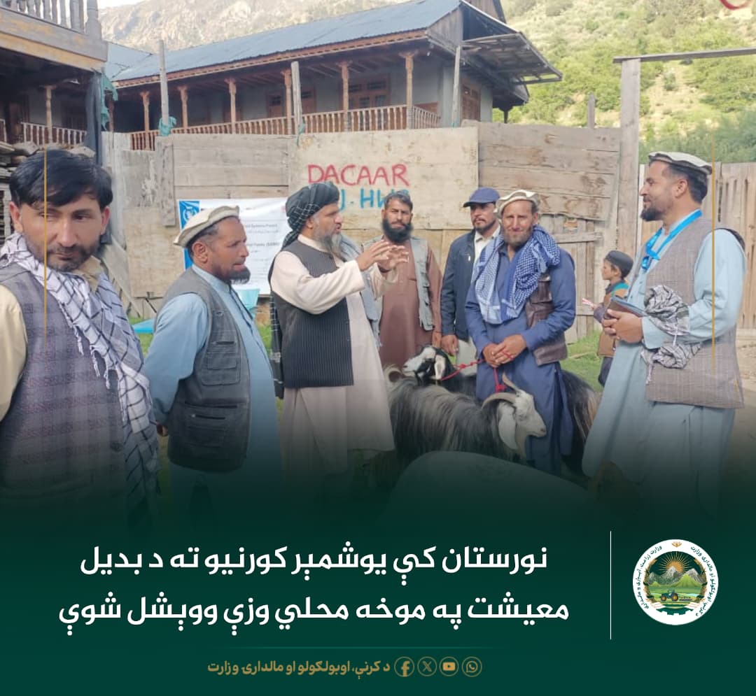 د ورځ مهمی خبری