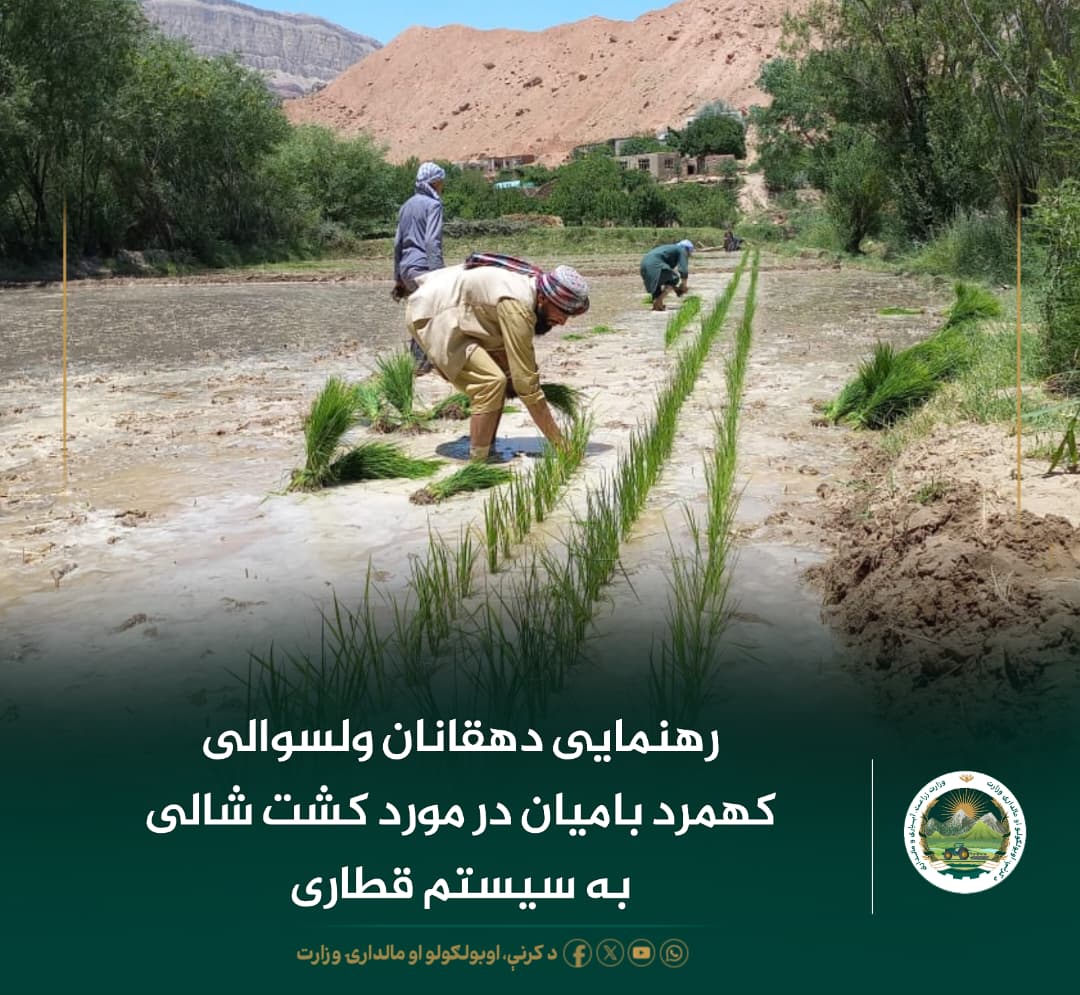 خبرهای مهم روز