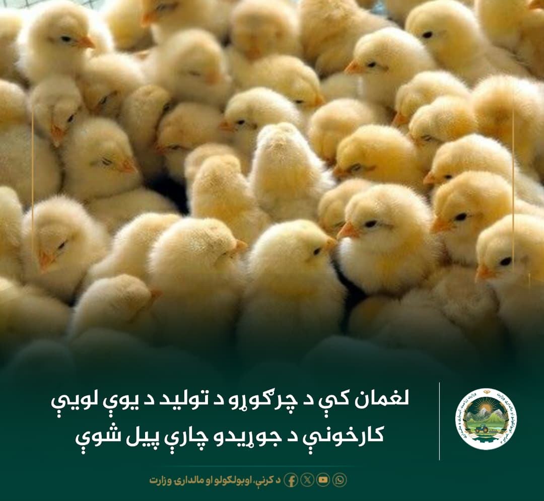 د ورځ مهمی خبری