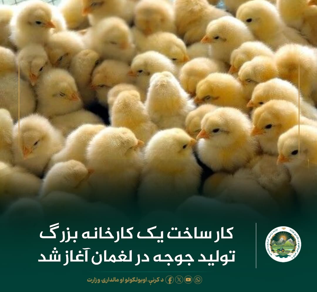 خبرهای مهم روز