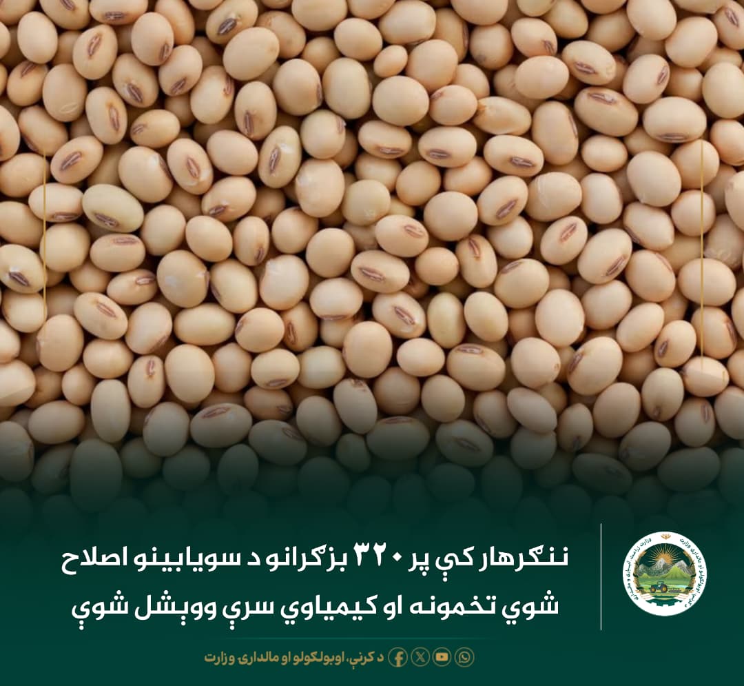 د ورځ مهمی خبری
