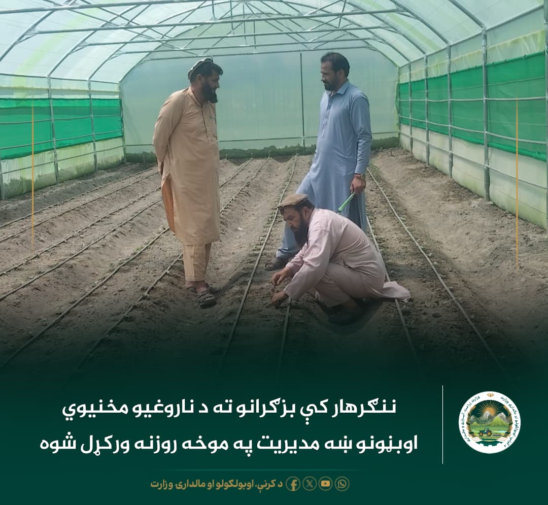 د ورځ مهمی خبری
