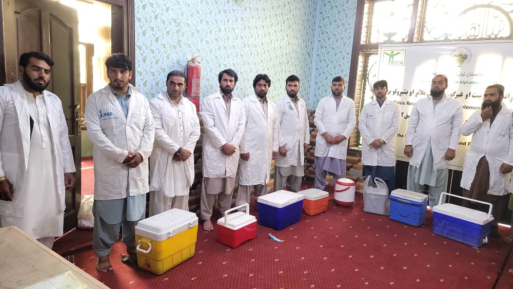 ننګرهار کې د۵۰ زره کوچنیو شخوند وهونکو څارویو لپاره د انټیروټوکسیمیا واکسین د تطبیق پروګرام پیل شو