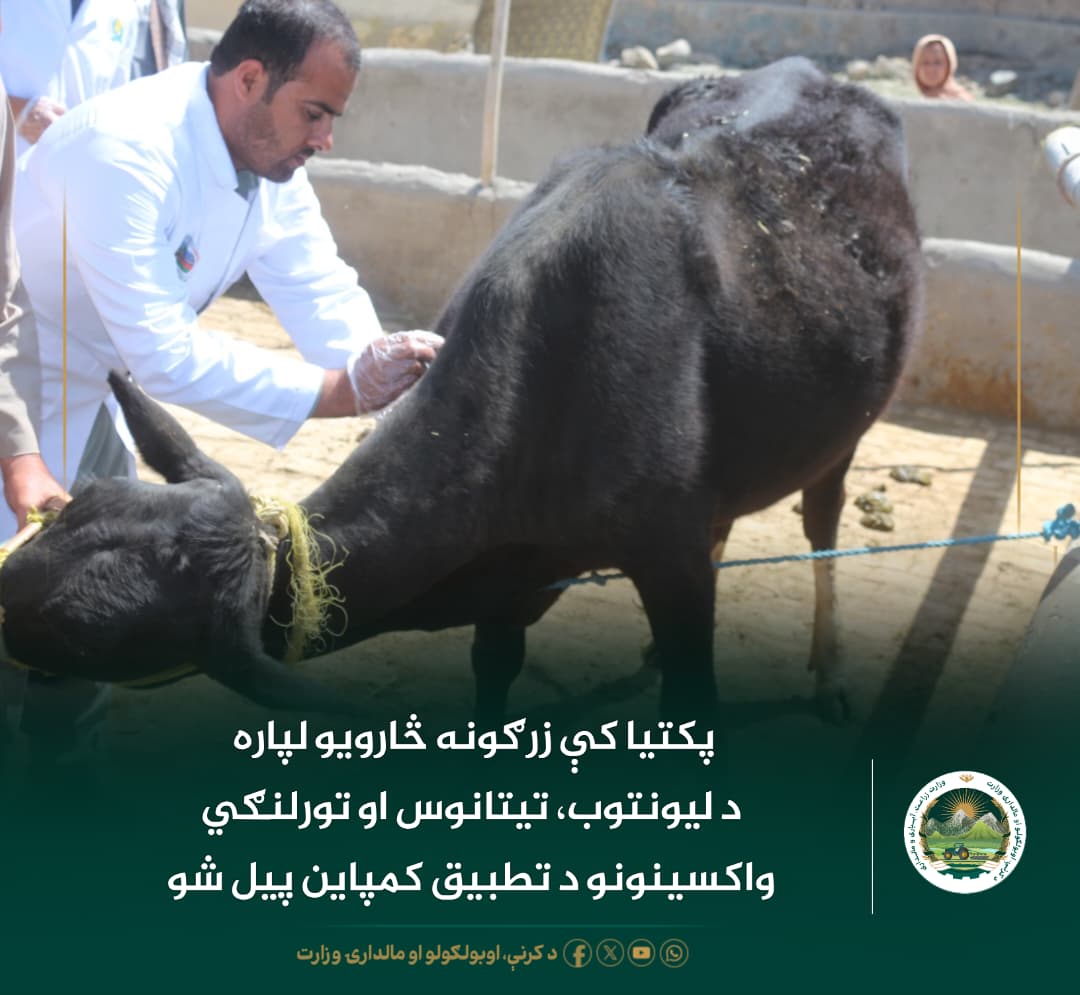 د ورځ مهمی خبری