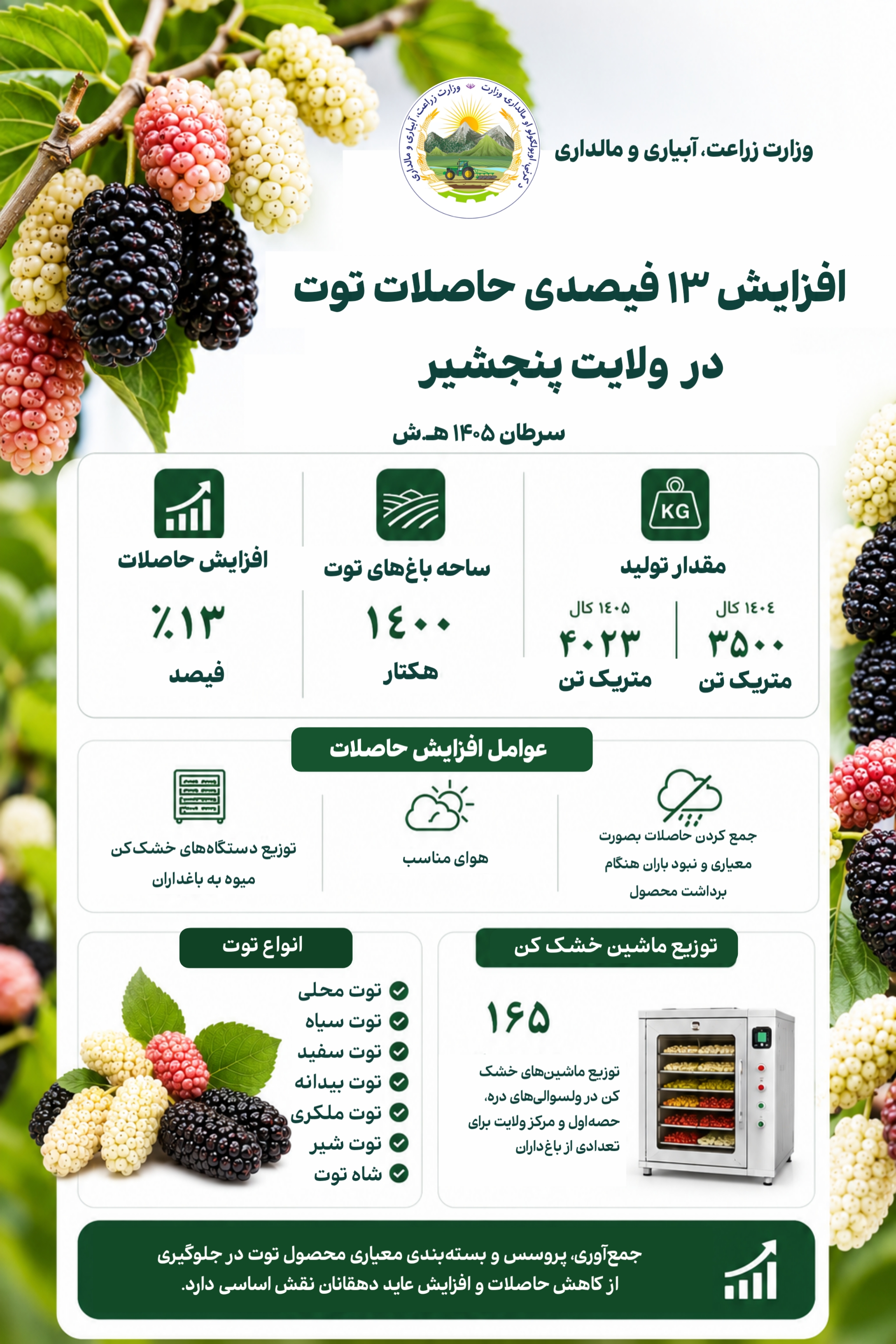 انفوګرافیک: حاصلات توت در پنجشیر ۱۳ درصد افزایش یافته است
