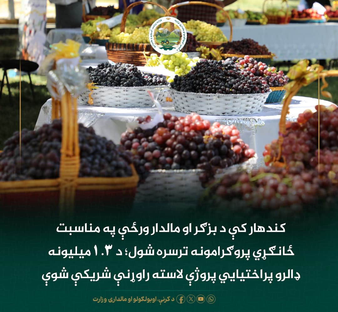 د ورځ مهمی خبری