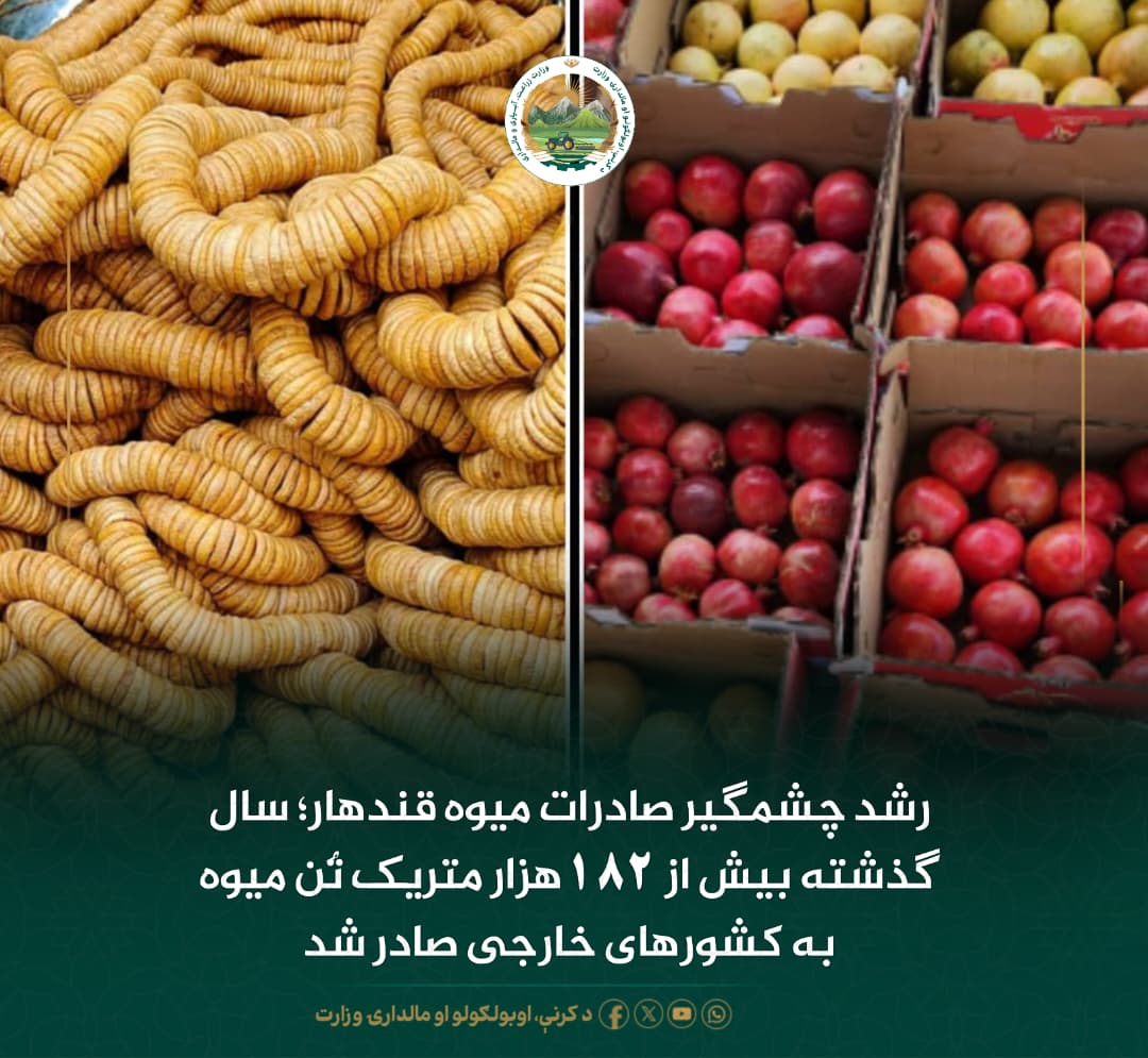 خبرهای مهم روز