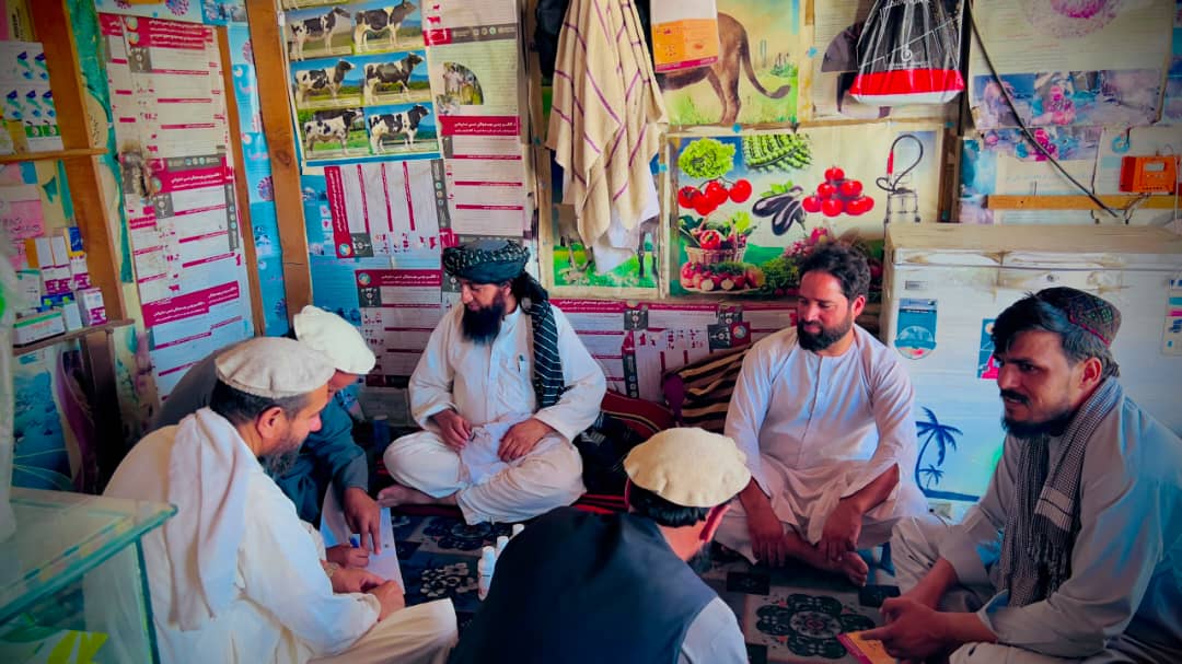 د ننګرهار خوږیاڼو ولسوالی کې د حیواني کلینیکونو د فعالیتونو څارنه ترسره شوه