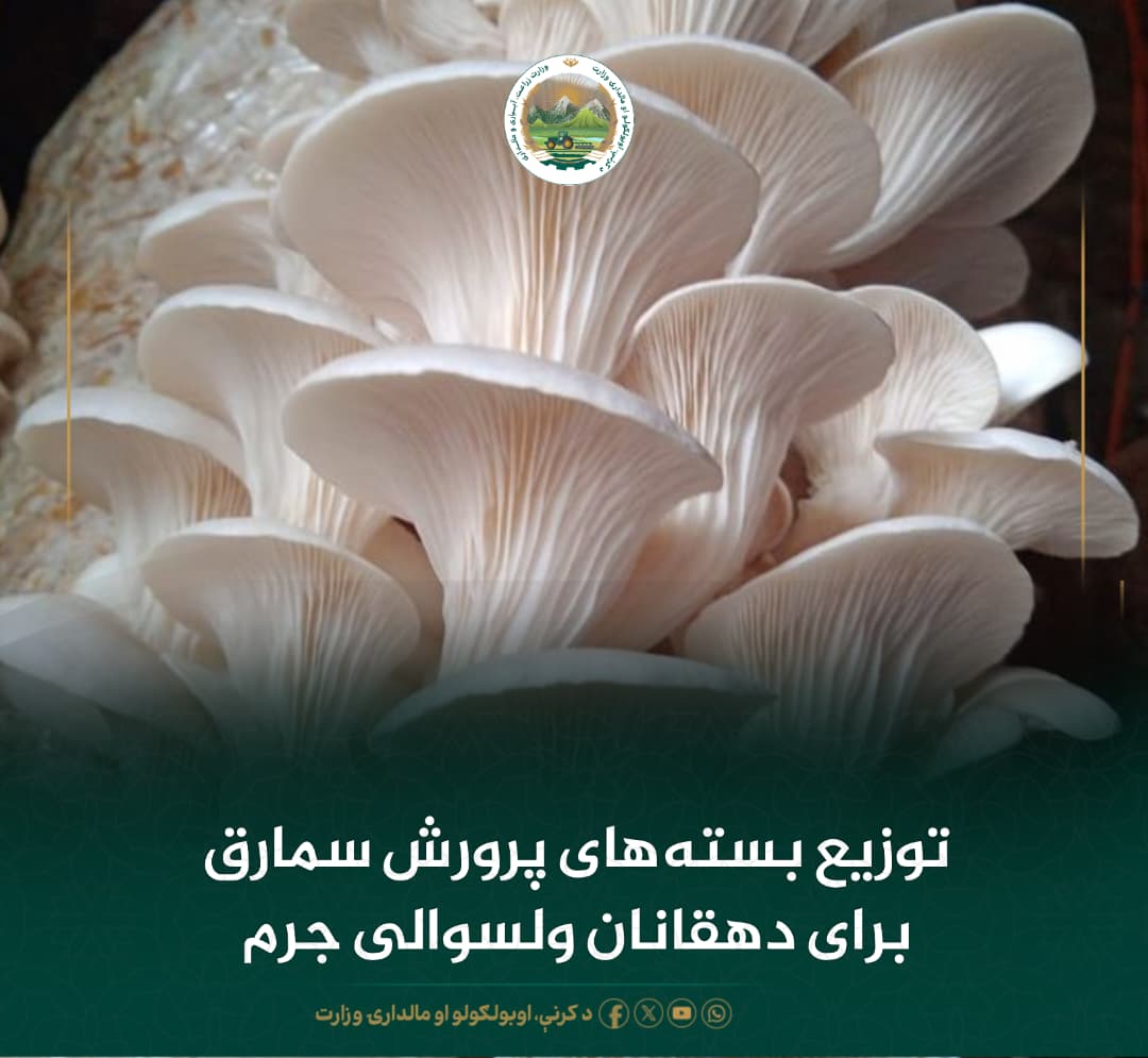 خبرهای مهم روز