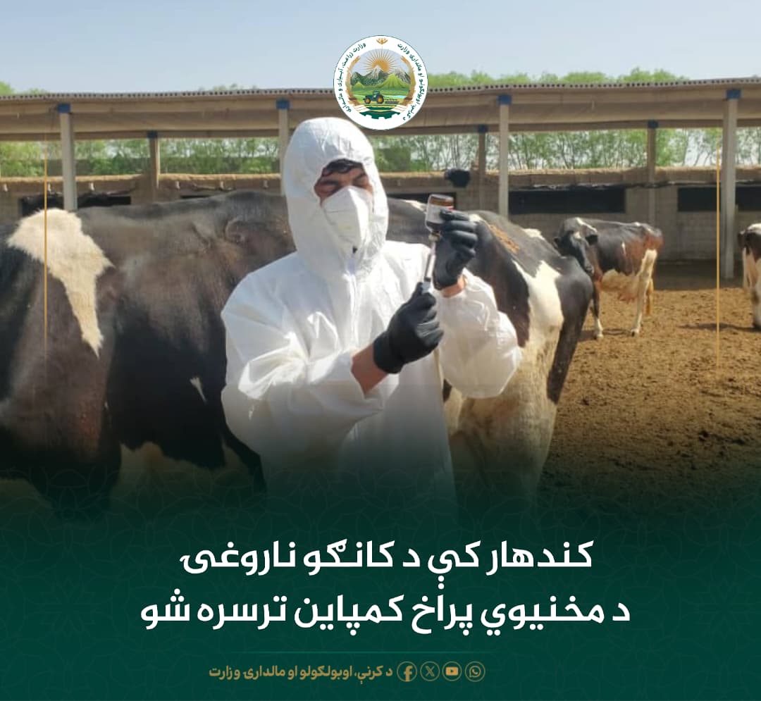د ورځ مهمی خبری