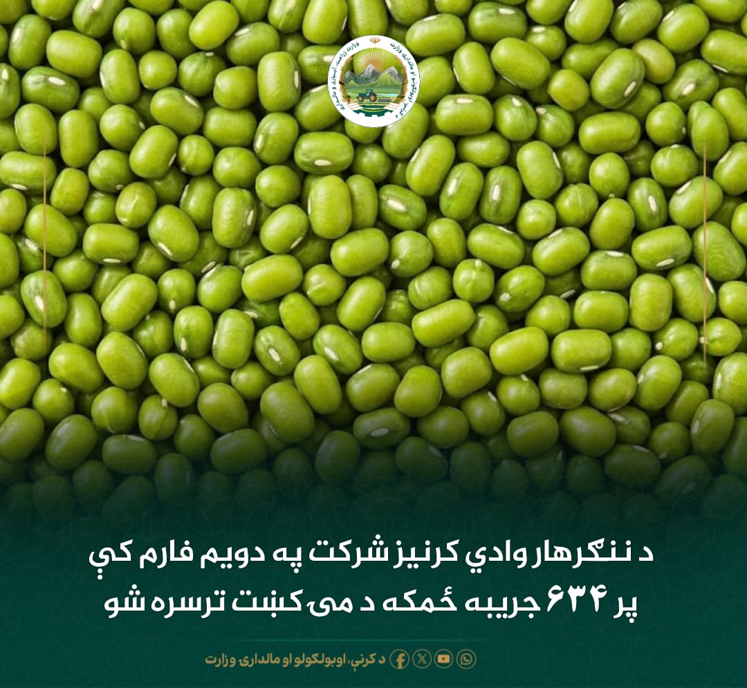د ورځ مهمی خبری