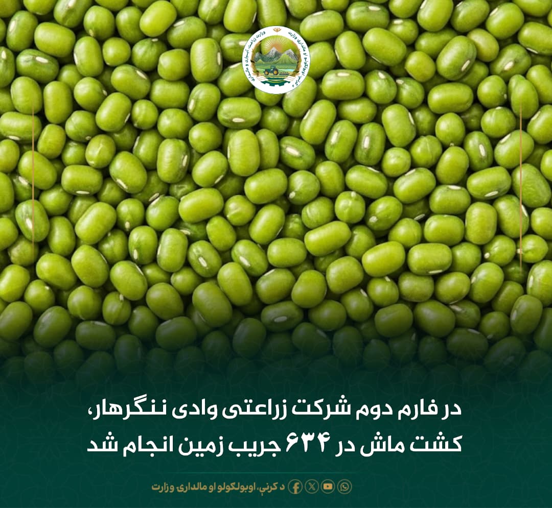 خبرهای مهم روز