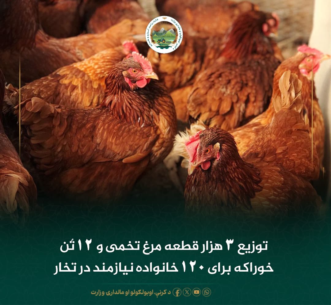 خبرهای مهم روز