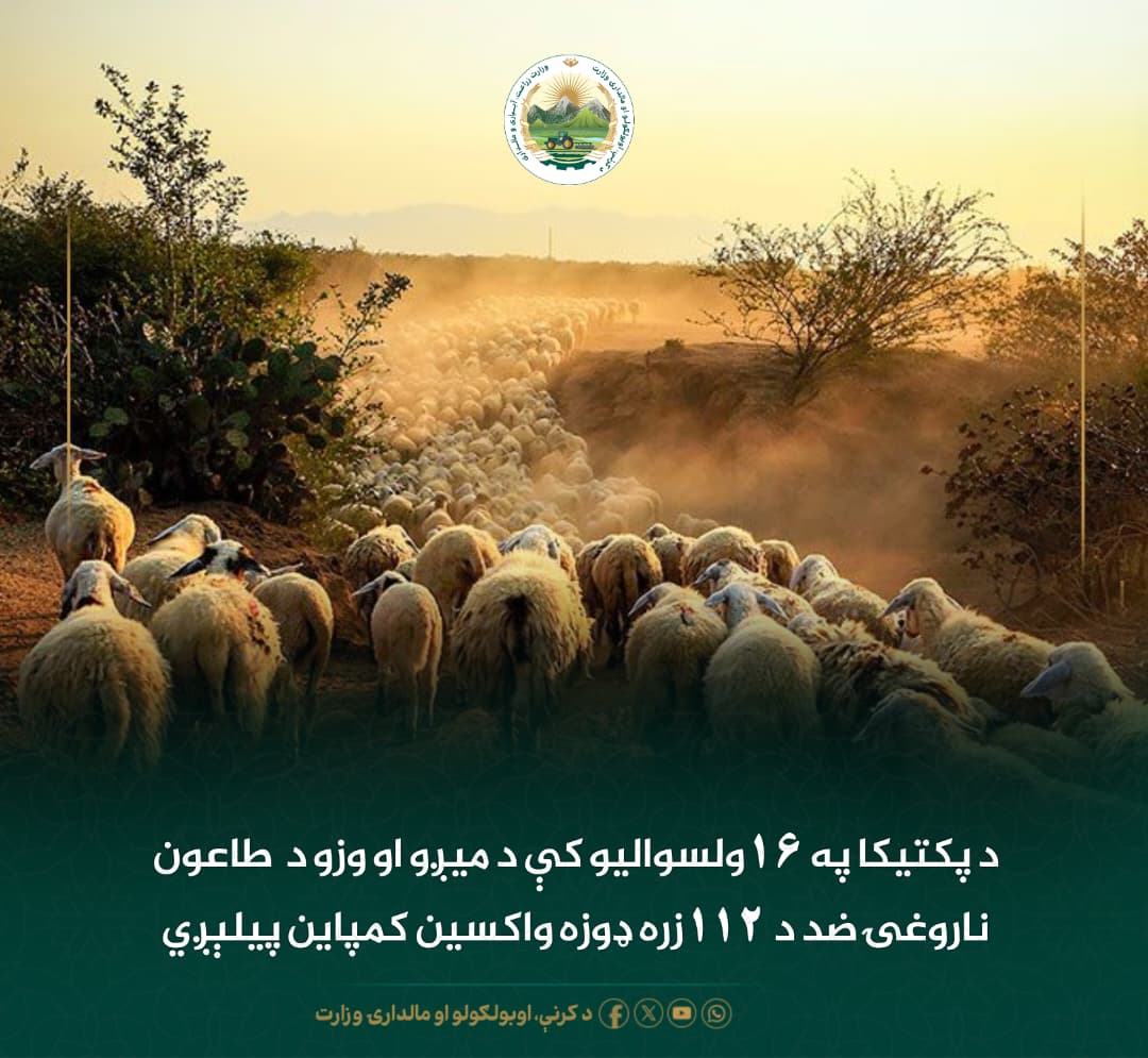 د ورځ مهمی خبری