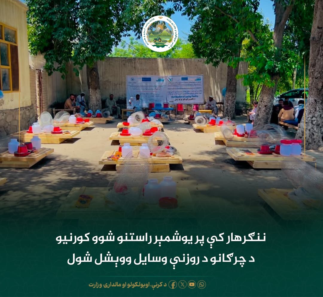 د ورځ مهمی خبری